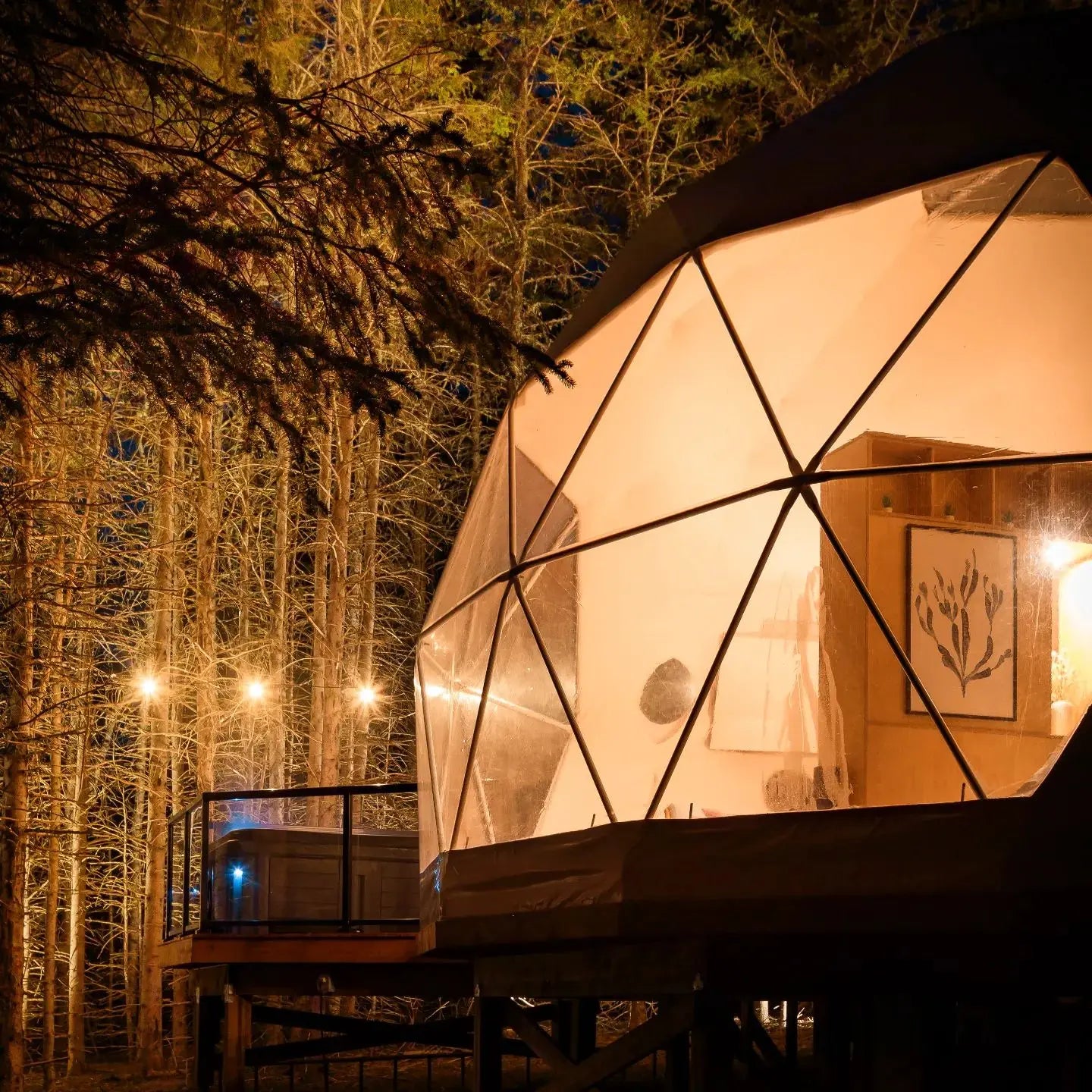 Geodesic Dome US Or Plan Luxury Hotel Tents Resort Forest Glamping Dome Pvc Dome Camping Transparent Tent