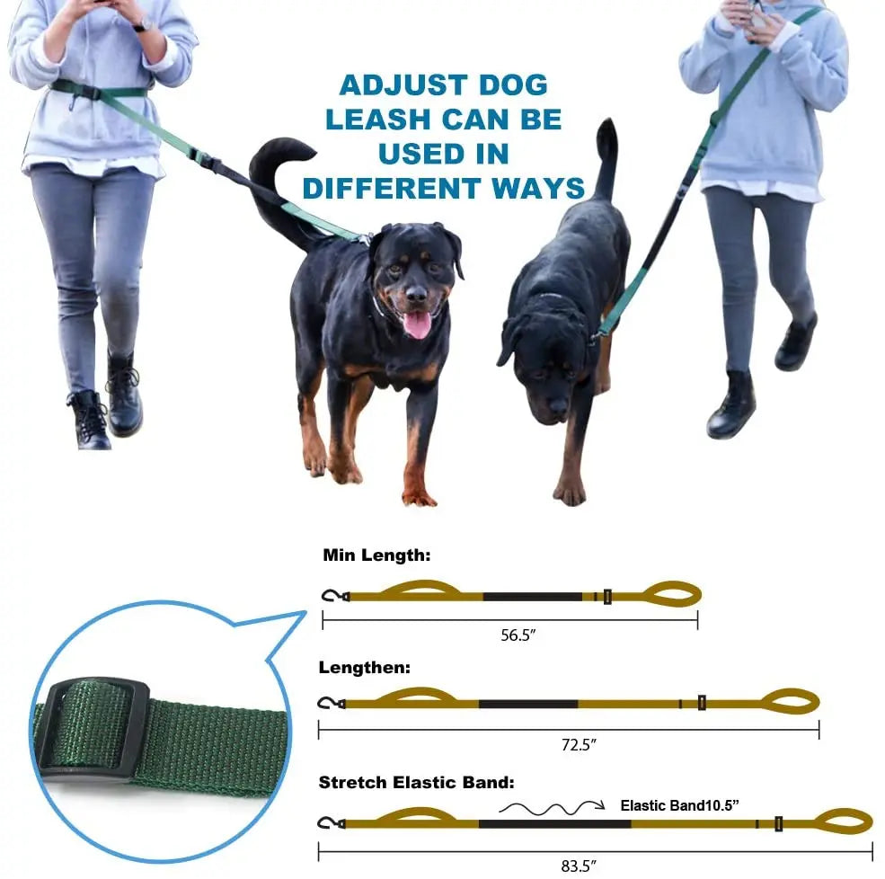 TSPRO Hands Free Dog Leash for Walking Running with Safety Car Seat Belt Shock Absorbing Bungee Leash with Padded Handle