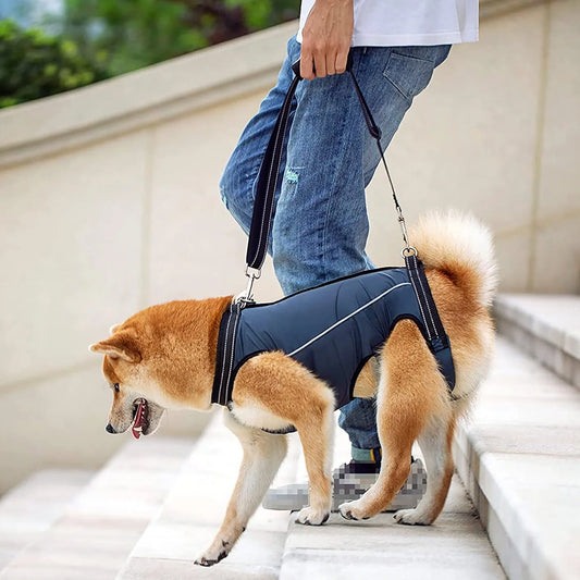 Dog Support Harness Dog Assisted Belt for Front and Rear Legs Pet Recovery Vest Elastic Adjustable Walking Dog Chest Strap