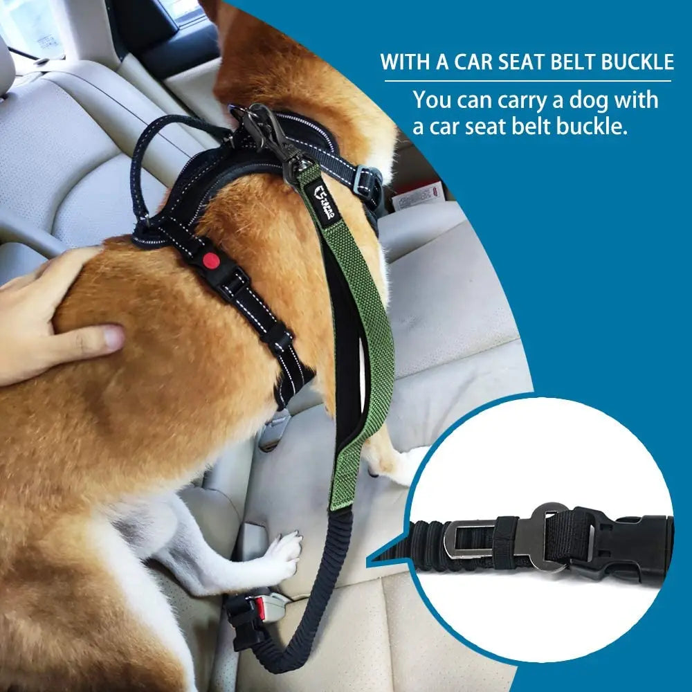 TSPRO Hands Free Dog Leash for Walking Running with Safety Car Seat Belt Shock Absorbing Bungee Leash with Padded Handle