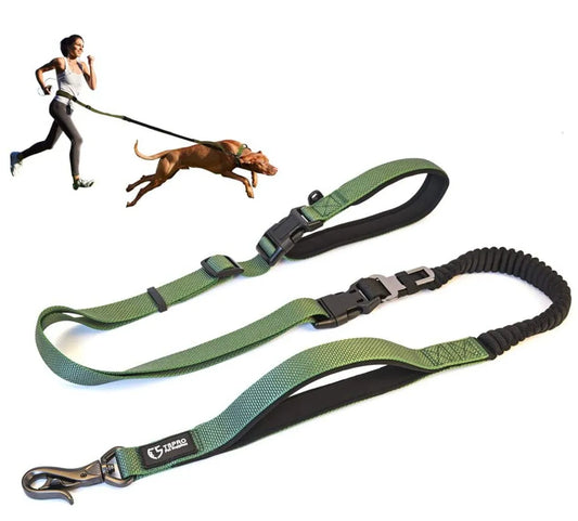 TSPRO Hands Free Dog Leash for Walking Running with Safety Car Seat Belt Shock Absorbing Bungee Leash with Padded Handle